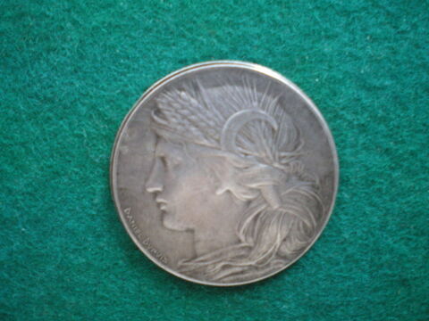 M�daille de l'Exposition Universelle de 1900. 100 Caen (14)