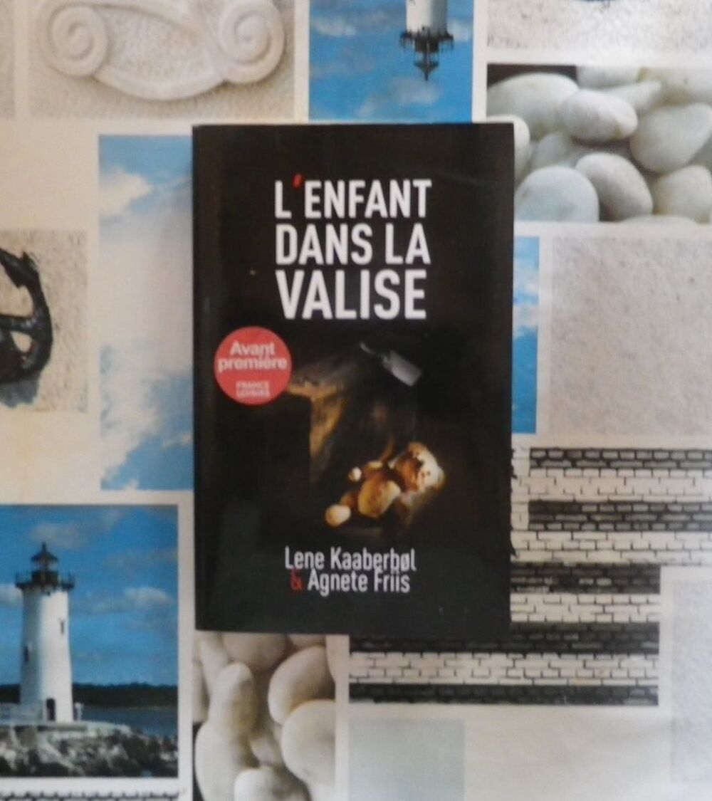 THRILLER L'ENFANT DANS LA VALISE de L. KAABERBOL et A. FRIIS Livres et BD