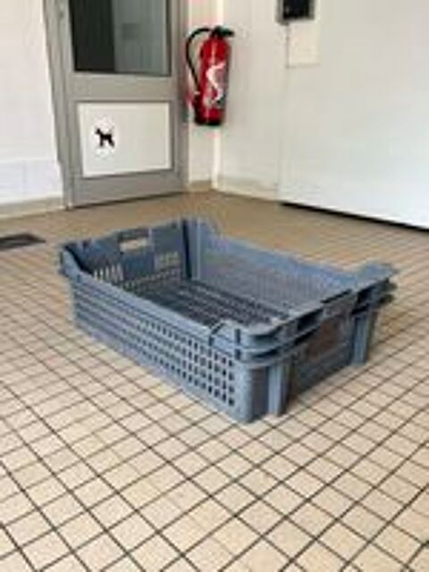   Caisses plastique 