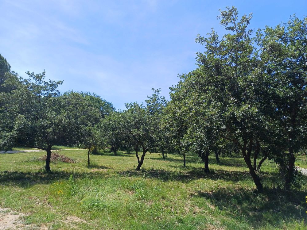 Vente Terrain terrain agricole avec hangar Ortaffa