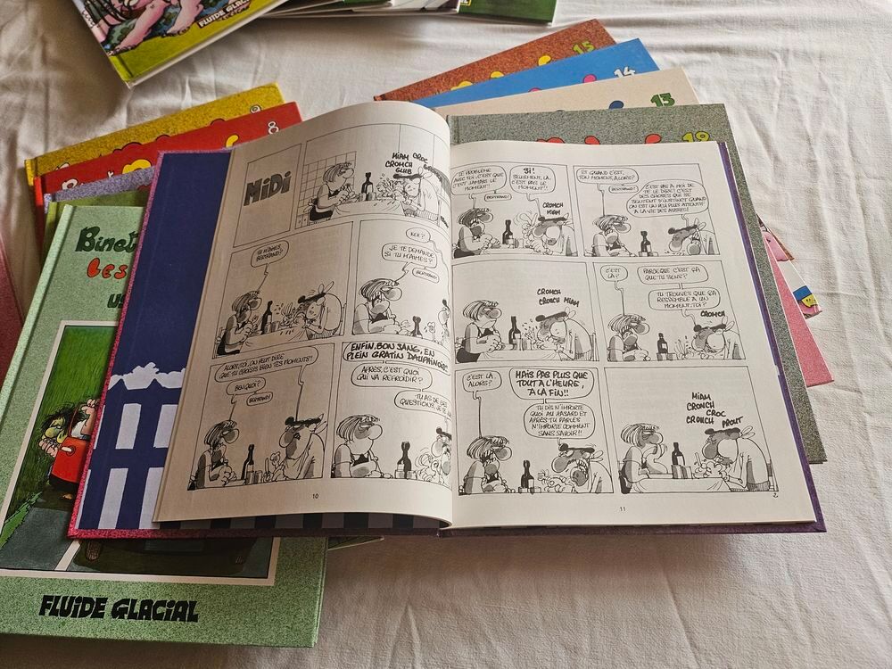 Lot Bandes dessin&eacute;es Les Bidochon Editions Fluide Glacial Livres et BD