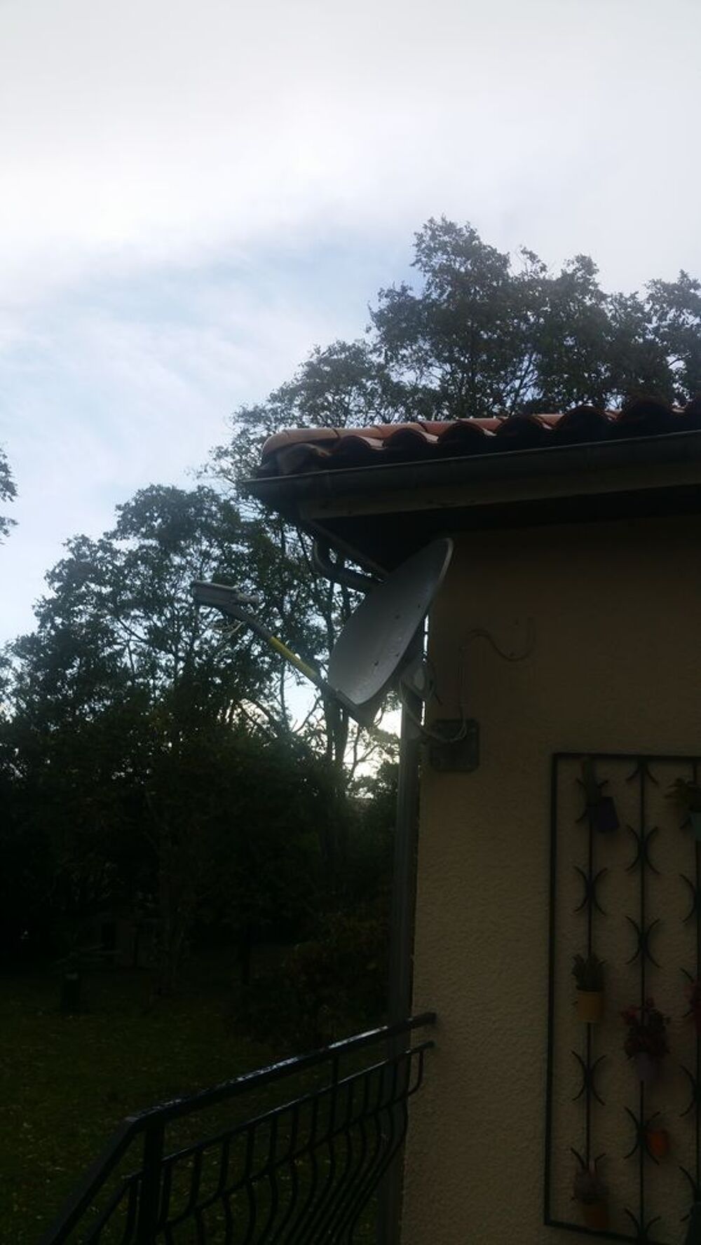 antenne satelite Matériel informatique