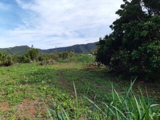  Terrain � vendre  Saint-joseph