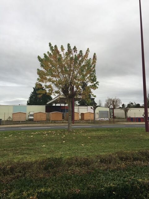  Terrain  louer 100 m