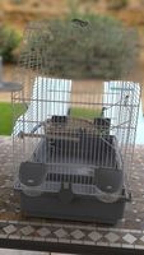   Cede très belle cage blanche et grise pour oiseaux  