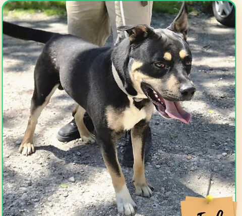 Mack 230 26700 Pierrelatte