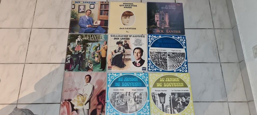 Divers disques vinyle CD et vinyles