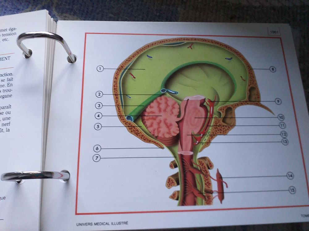 livre medical Livres et BD