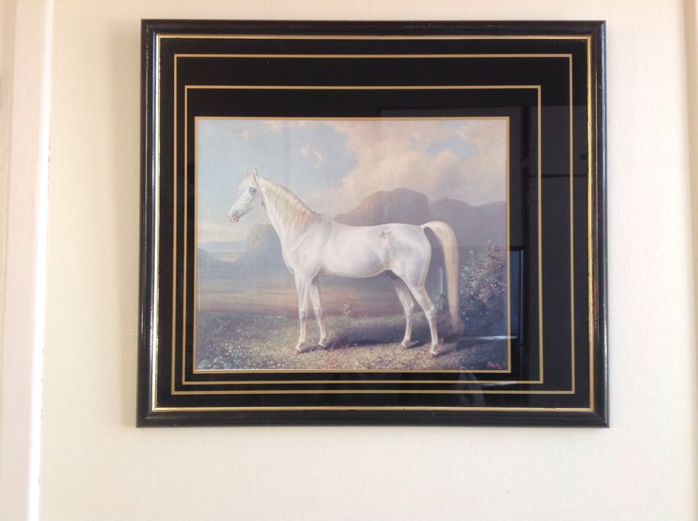 cheval arabe, sign&eacute; STOTZ . Décoration