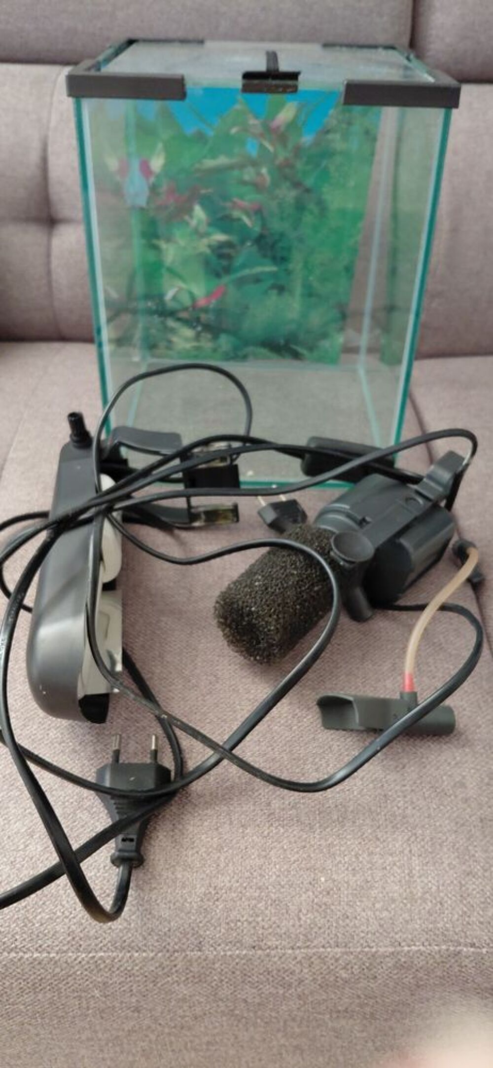   Aquarium idéal pour poisson combattant (Betta) avec accessoi 