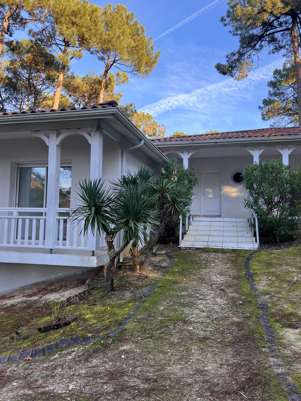 � vendre  Maison L�ge-Cap-Ferret (33950)