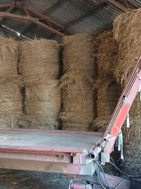 Foin praiirie 
15 44160 Sainte-anne-sur-brivet