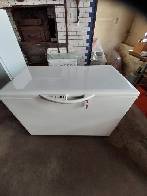 Congélateur coffre blanc LIEBHERR GTP 3126 302 litres Hohengœft (67)
