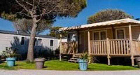  2020 occasion 66140 Canet-en-Roussillon
