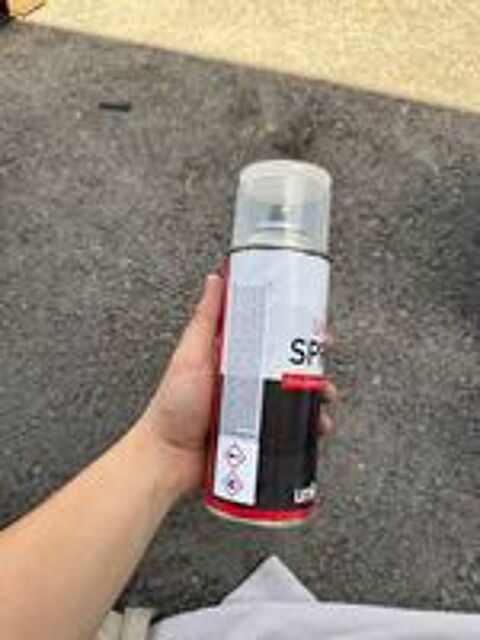   SPRAY Pour peintures solvantées 