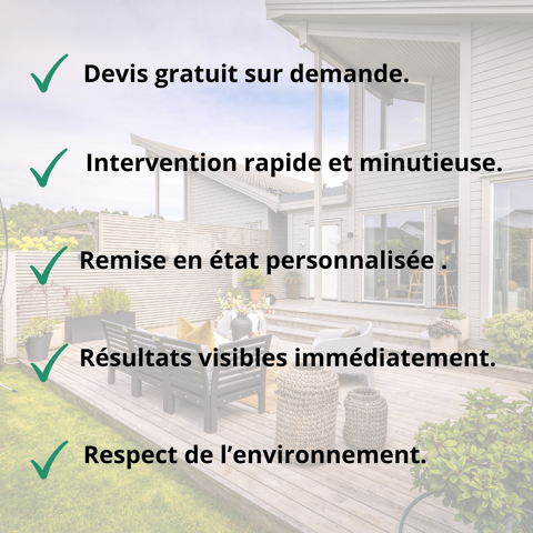 Nettoyage de vos extérieurs (Patios, terrasses, cours, ...) 0 78000 Versailles