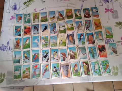 52 cartes anciennes (�ducatives ?) oiseaux Oroux (79)