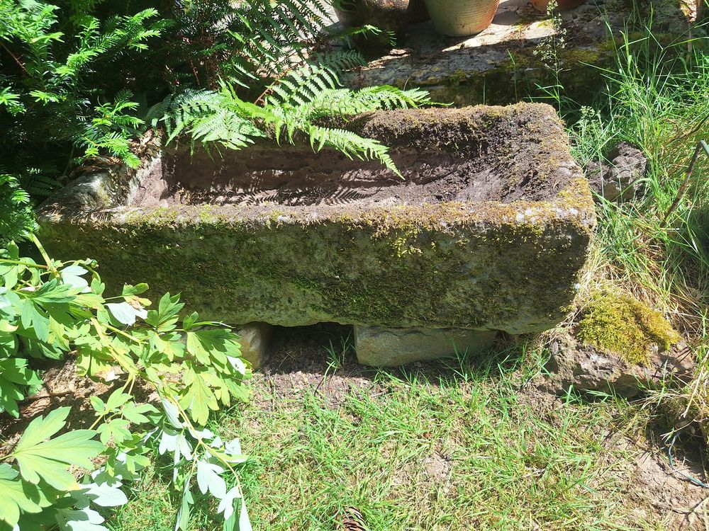 Auge en pierre Décoration