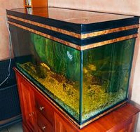   Grand Aquarium 200 L + TRES COMPLET - PRET USAGE  