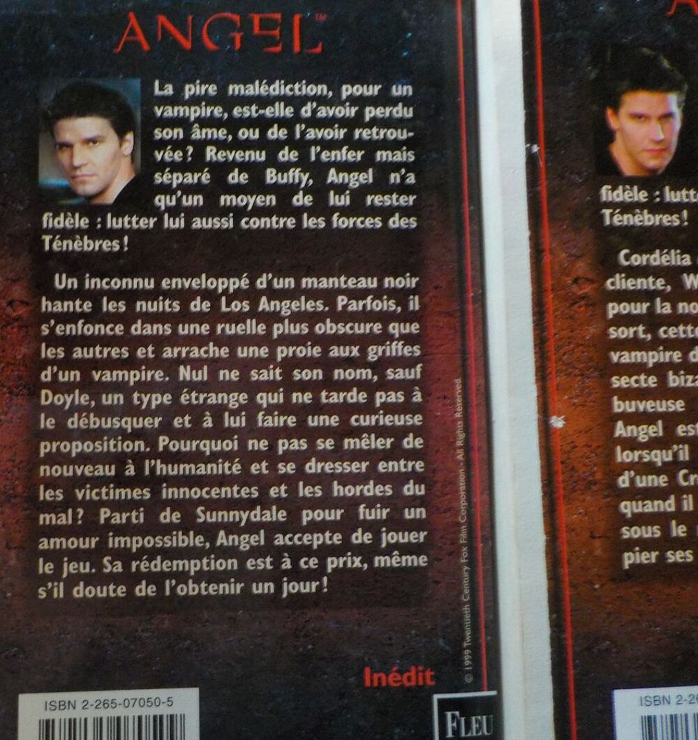 ANGEL N&deg;1 3 5 6 7 Ed. Fleuve Noir Livres et BD