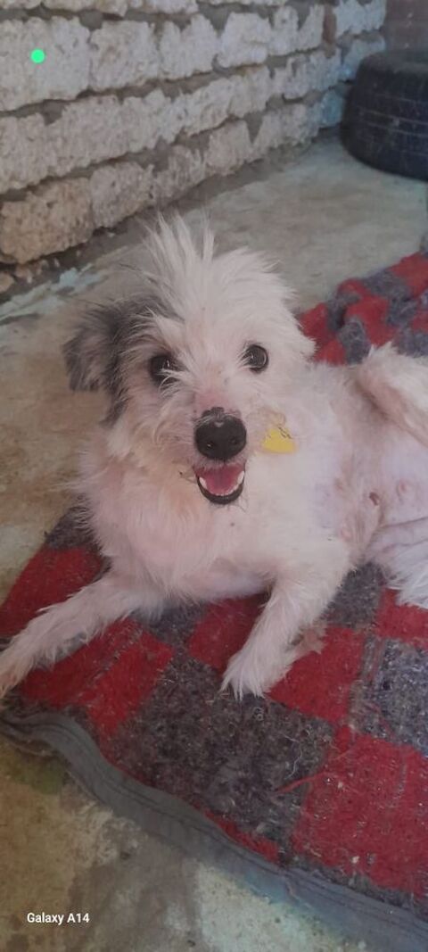 TITINE 0 75018 Paris