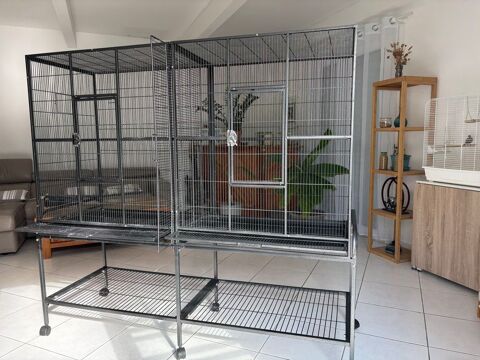 Grande volière 260 34970 Lattes