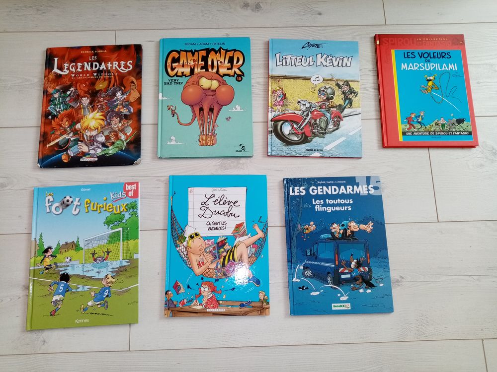 Livre lot bd spirou voleurs du MARSUPILAMI Livres et BD