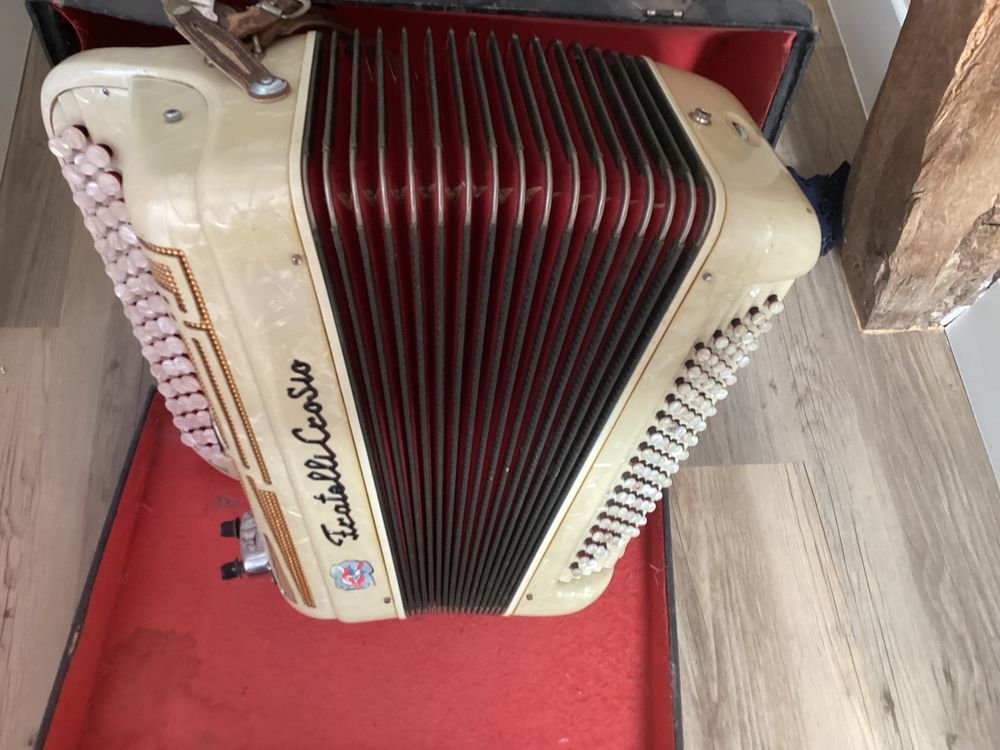 accordeon Instruments de musique