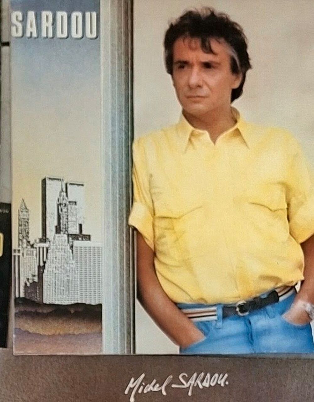 9 vynils SARDOU CD et vinyles