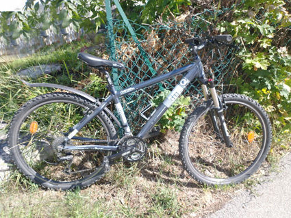 VTT Q Bike charger TWO Vélos
