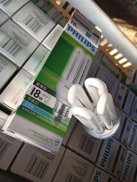 ampoules �conomiques 18 w 2 Sarpourenx (64)