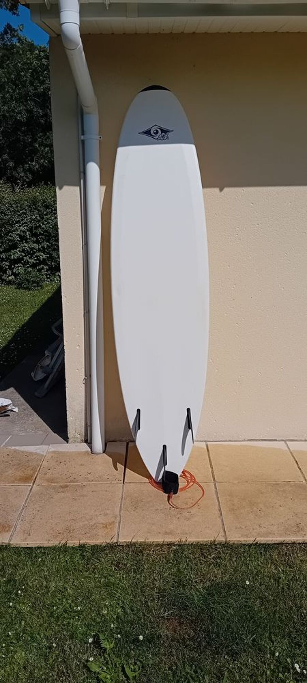 Surf, housse, combi, petites planches de plage Sports