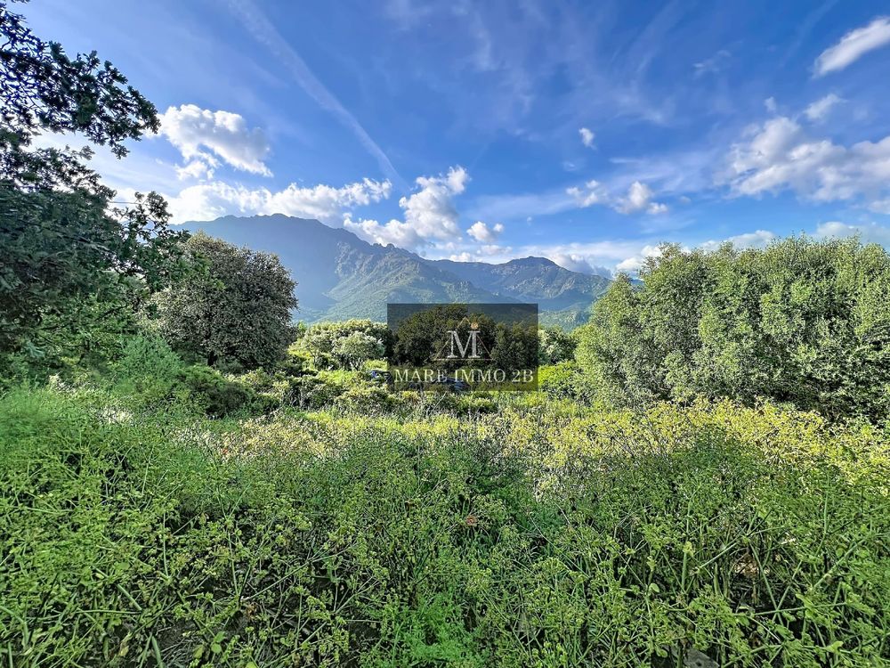 Vente Terrain Terrain constructible de 4100m² à 20minutes de Calvi Calvi