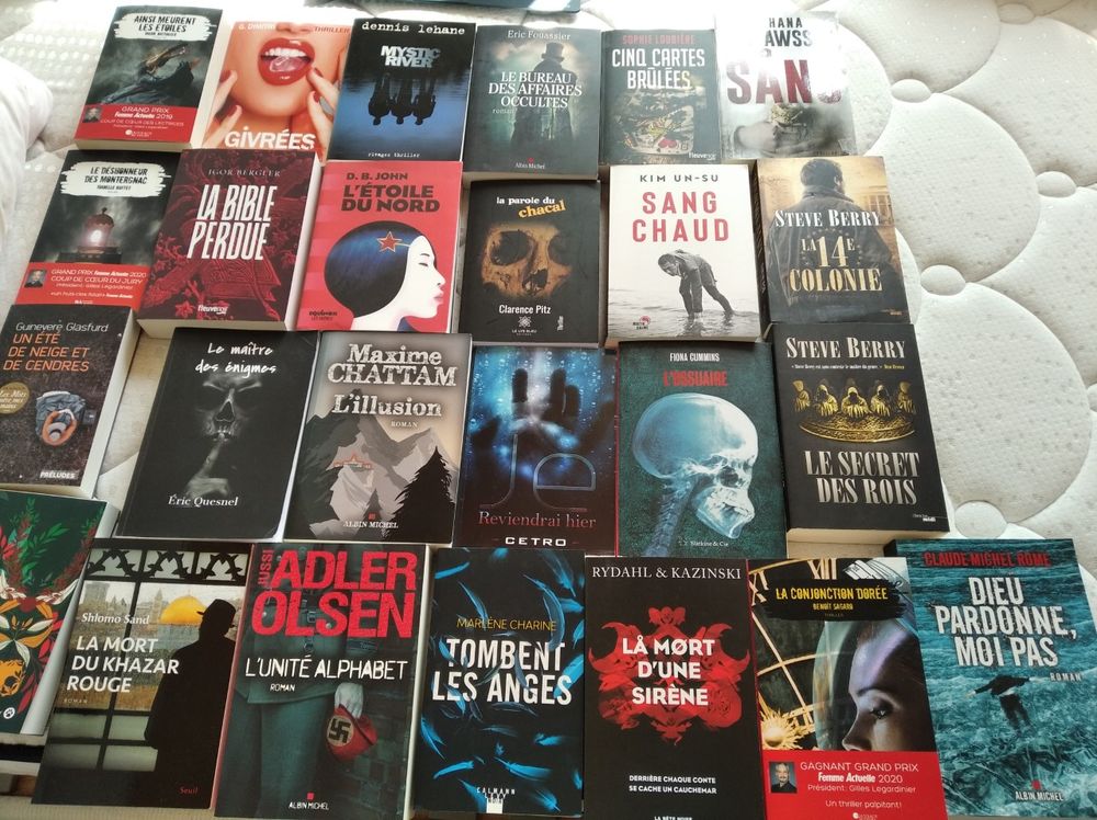 Lot 79 polars, thrillers, polars historiques grand format Livres et BD