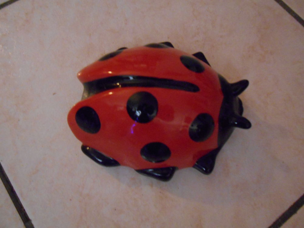 COCCINELLE JARDIN Jardin