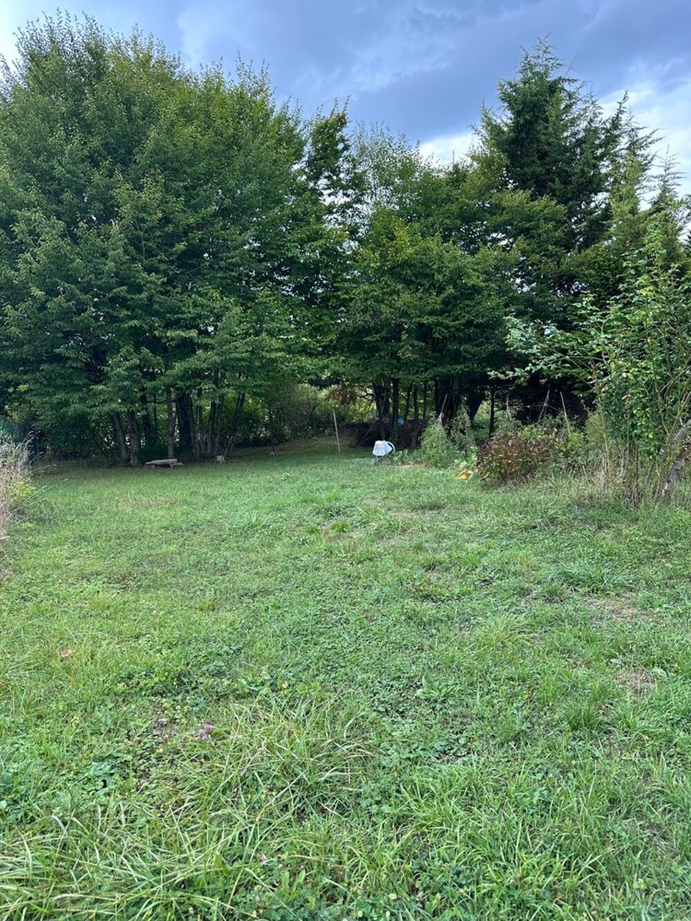 Vente Maison rare grande maison avec dépendance Einvaux Einvaux
