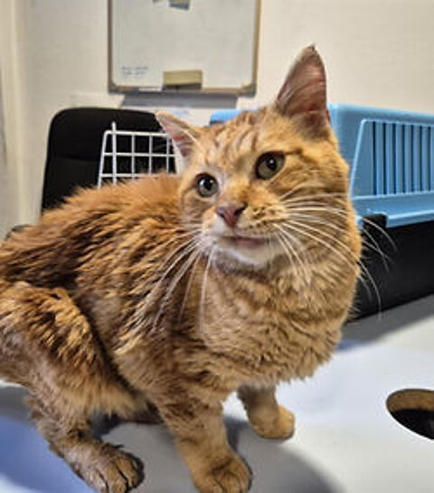 Charouge 50 26700 Pierrelatte