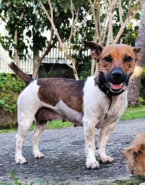 Mademoiselle AYA ! 350 36000 Ch�teauroux