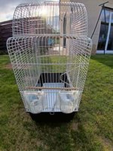   Cage oiseau 