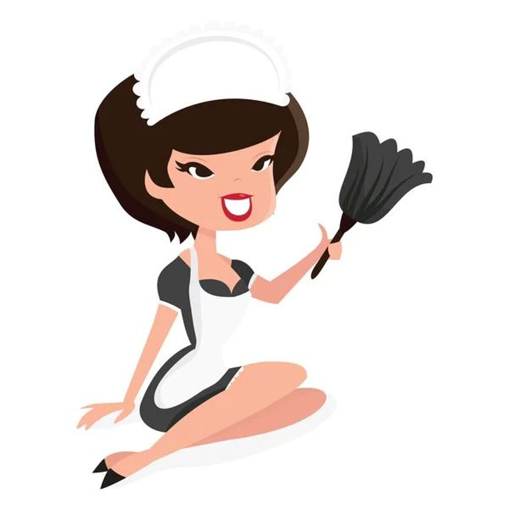   cherche femme de ménage 