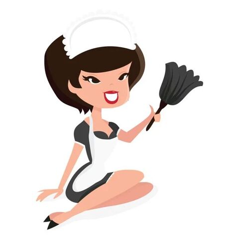 cherche femme de m&eacute;nage 0 06800 Cagnes-sur-mer