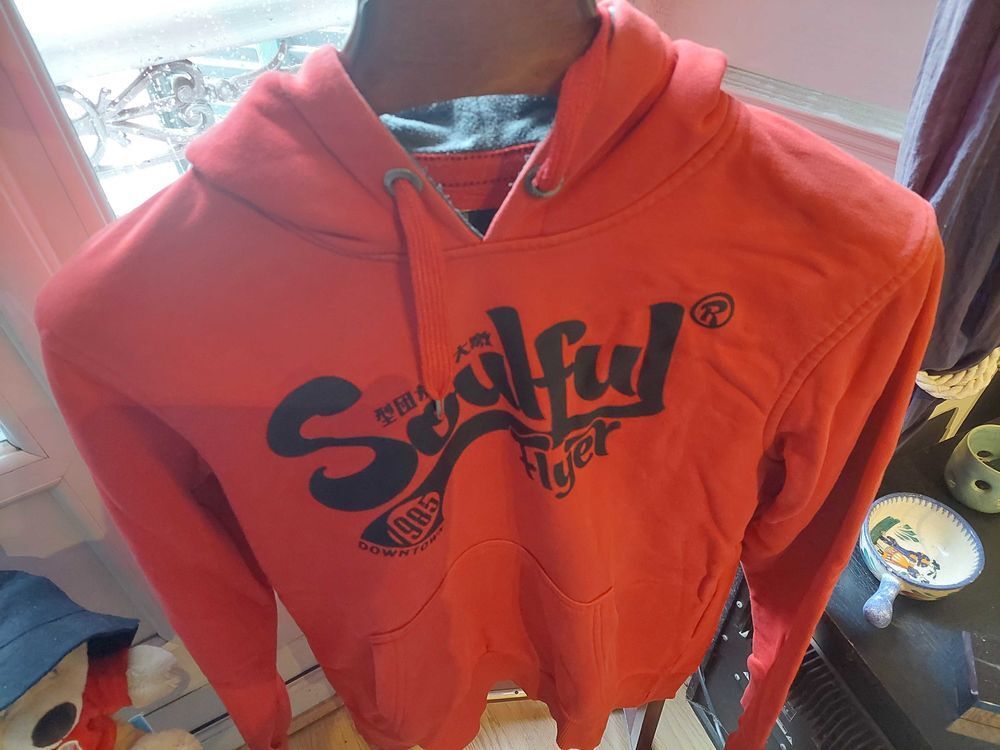 Sweat capuche taille M Vêtements