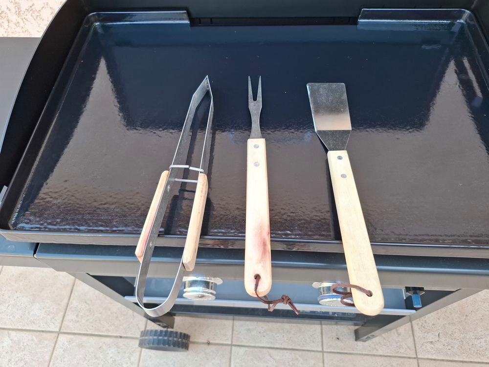 Plancha de marque CAMPINGAZ mod&egrave;le EX neuve Electroménager