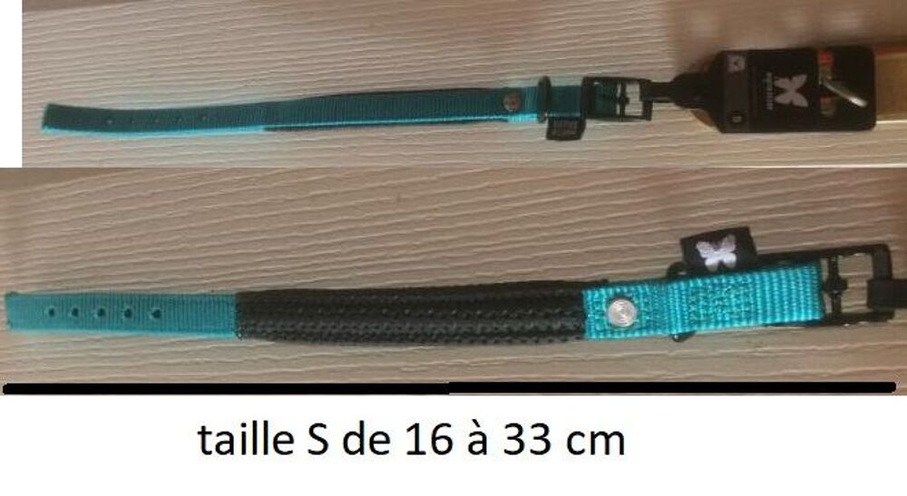   collier neuf pour petit chien 