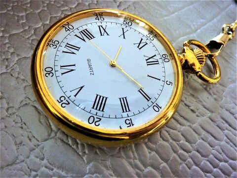 LUC DESROCHES montre gousset ferroviaire 1980 GOC0066 75 Metz (57)