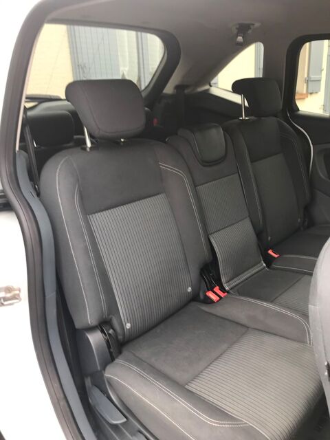 Ford Grand C-MAX 1.6 TDCI 115 FAP Titanium 2011 occasion Marigny-les-Usages 45760