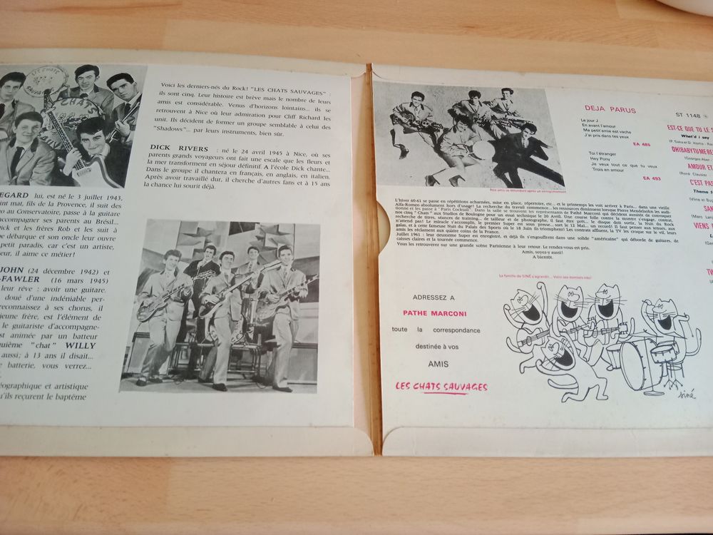 LES CHATS SAUVAGES 25 Cm CD et vinyles