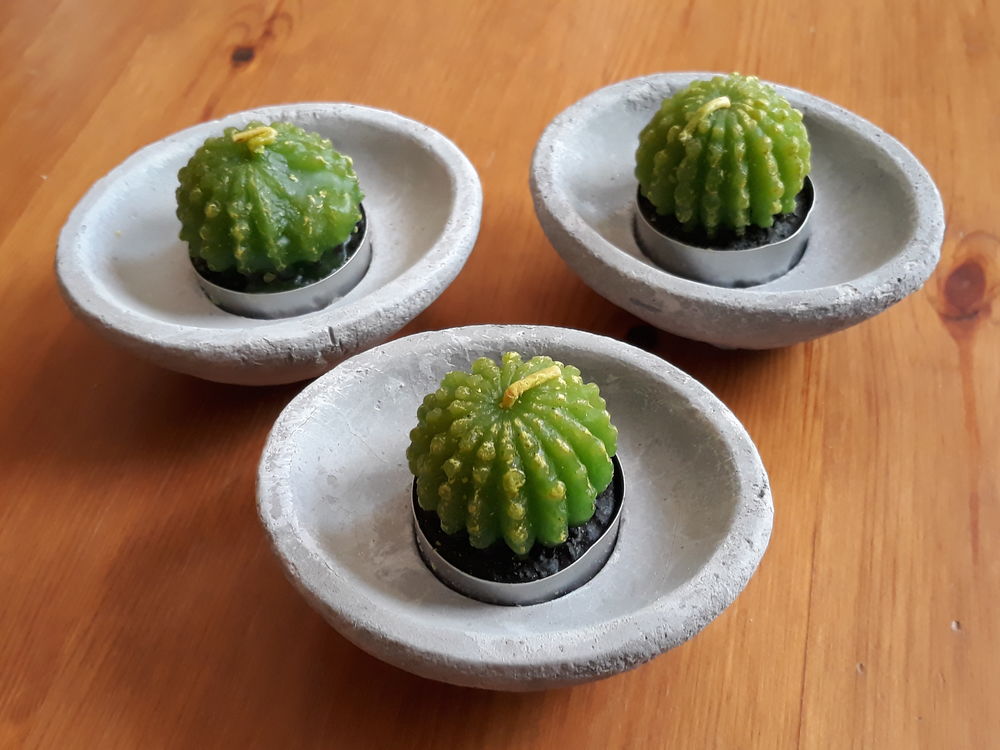 Lot de 3 bougies cactus sur socle - NEUF ( 3 bougies en cad Décoration