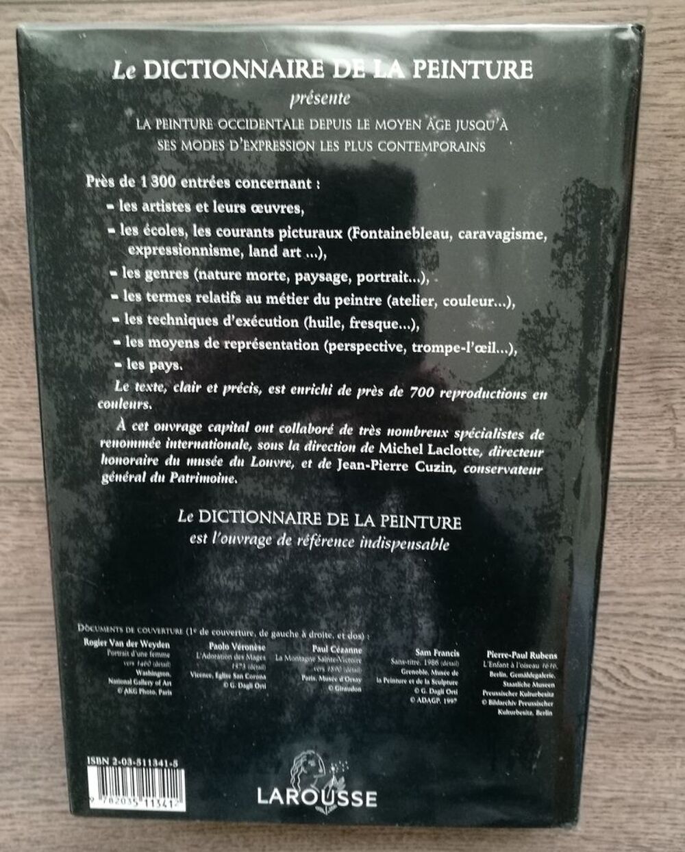 le dictionnaire de la peinture Larousse 