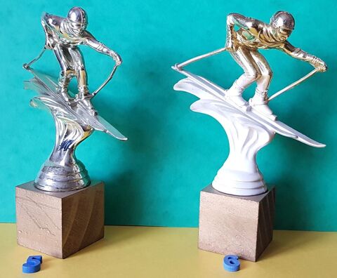 TROPHEE SKI de piste ou descente
7 Sassenage (38)